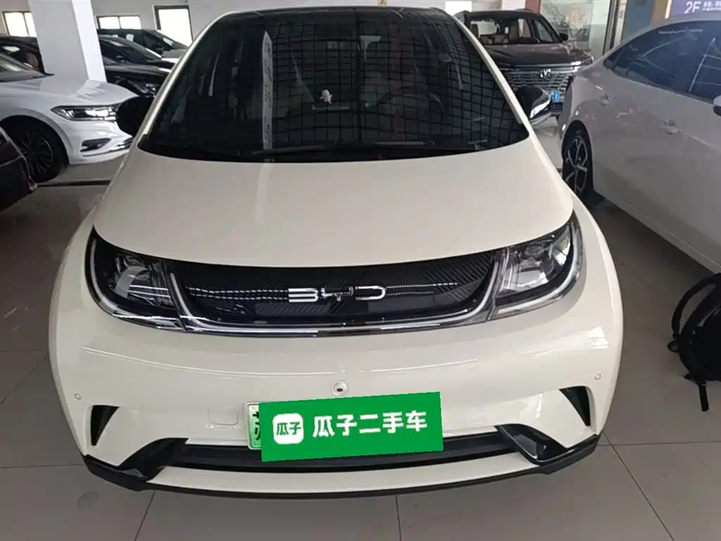 BYD Dolphin 2023 420km Fashion Edition фото 3