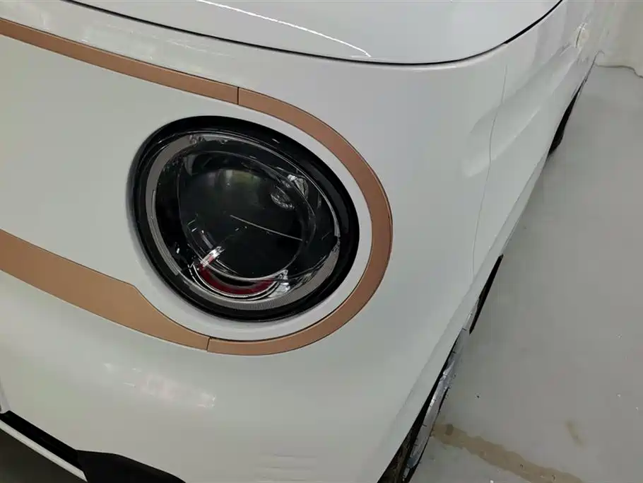 Geely Galaxy Panda 2024 Panda mini 200km Endurance Bear фото 5