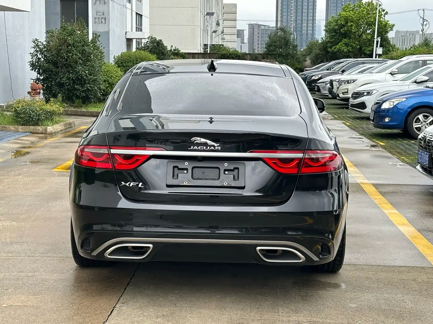 Jaguar XFL 2025 2025 2.0T P250 FWD Luxury Edition