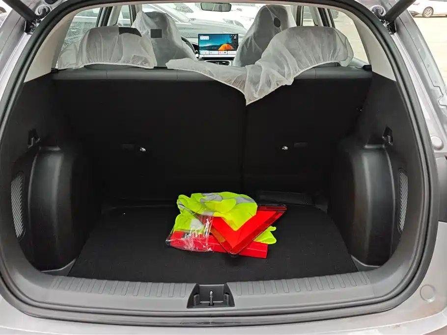 Geely Galaxy Starry Wish 2026 Model 310km Dream Edition фото 4