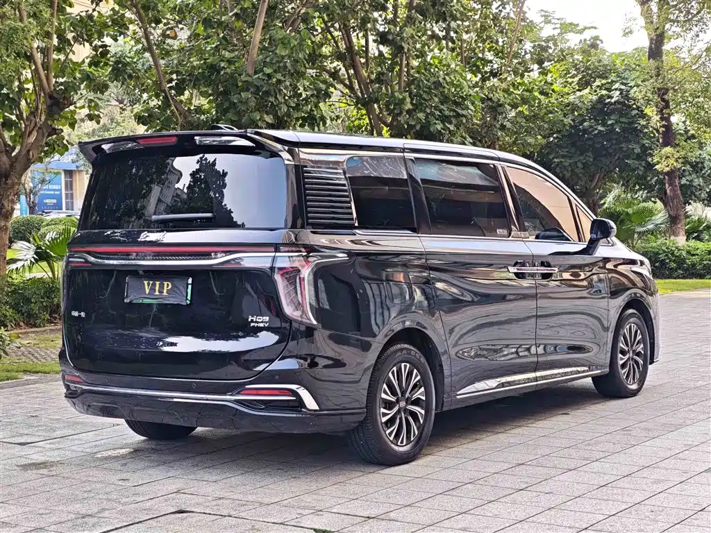 Hongqi HQ9 PHEV 2024 Model 2.0T AWD Luxury Edition фото 16