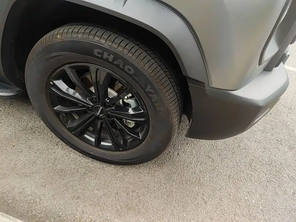 Haval Meng Long NEV 2024 Hi4 102 Pro фото 26