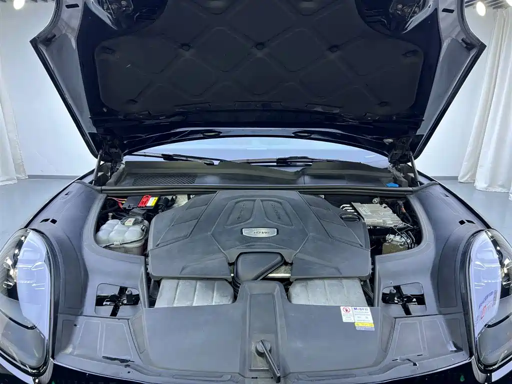 Porsche Cayenne 2019 Cayenne 3.0T фото 30
