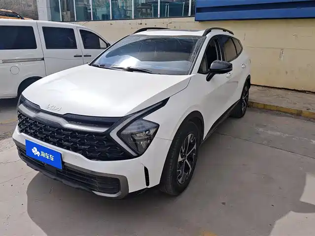 KIA LION PLATINUM EXPANDS THE WORLD 2024