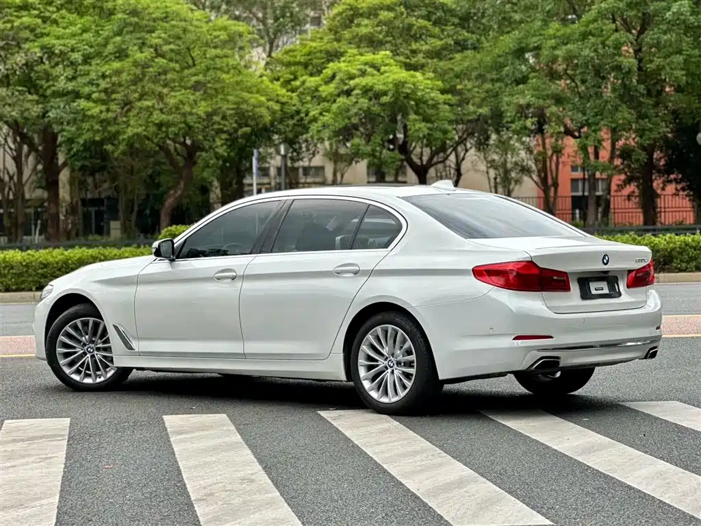 BMW 5 Series 2020 530Li Premium Luxury Package фото 2