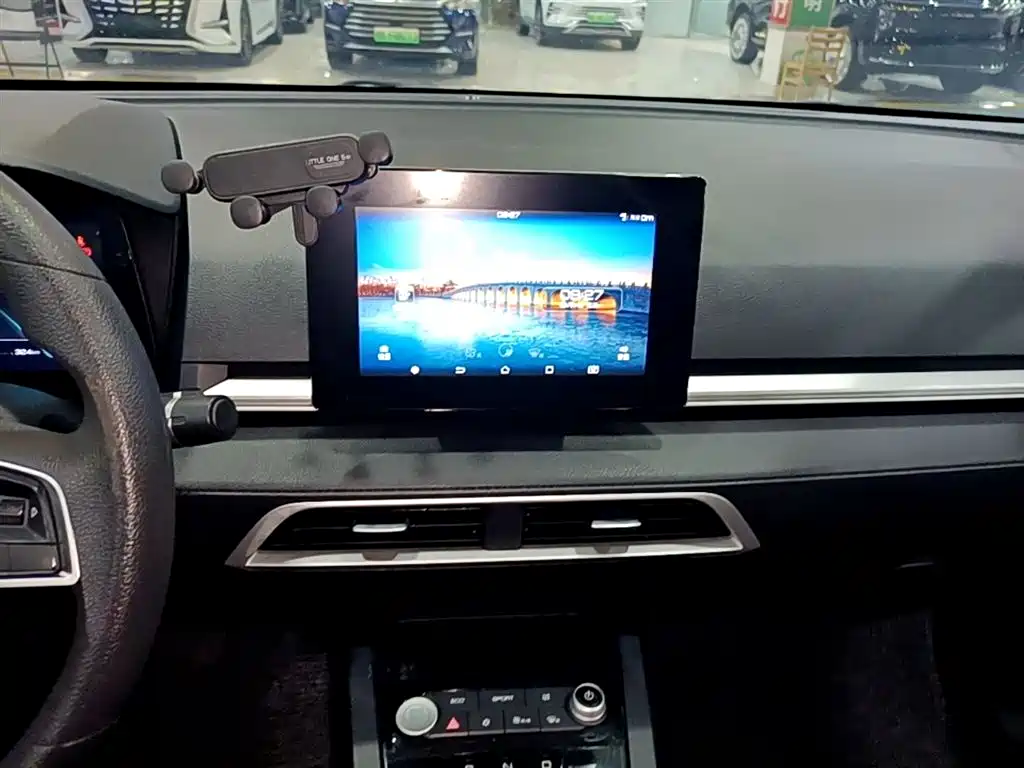 BYD e2 2019 Long Range Yao·Luxury Model фото 13