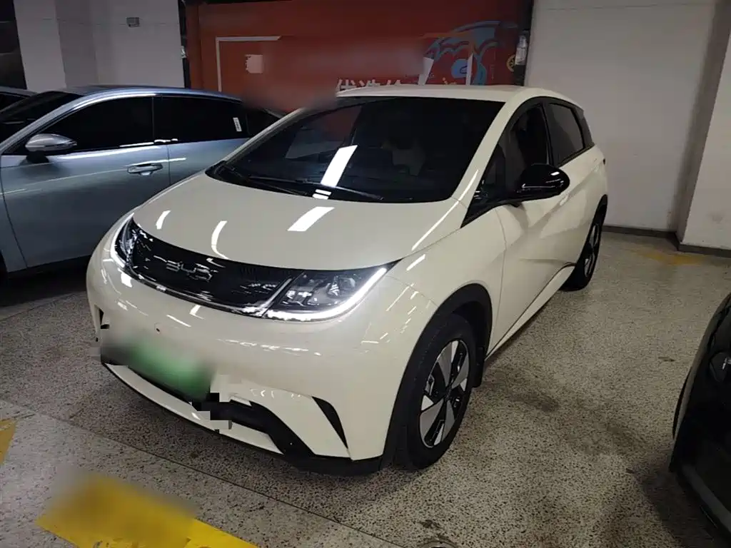 BYD Dolphin 2023 420km Freedom Edition