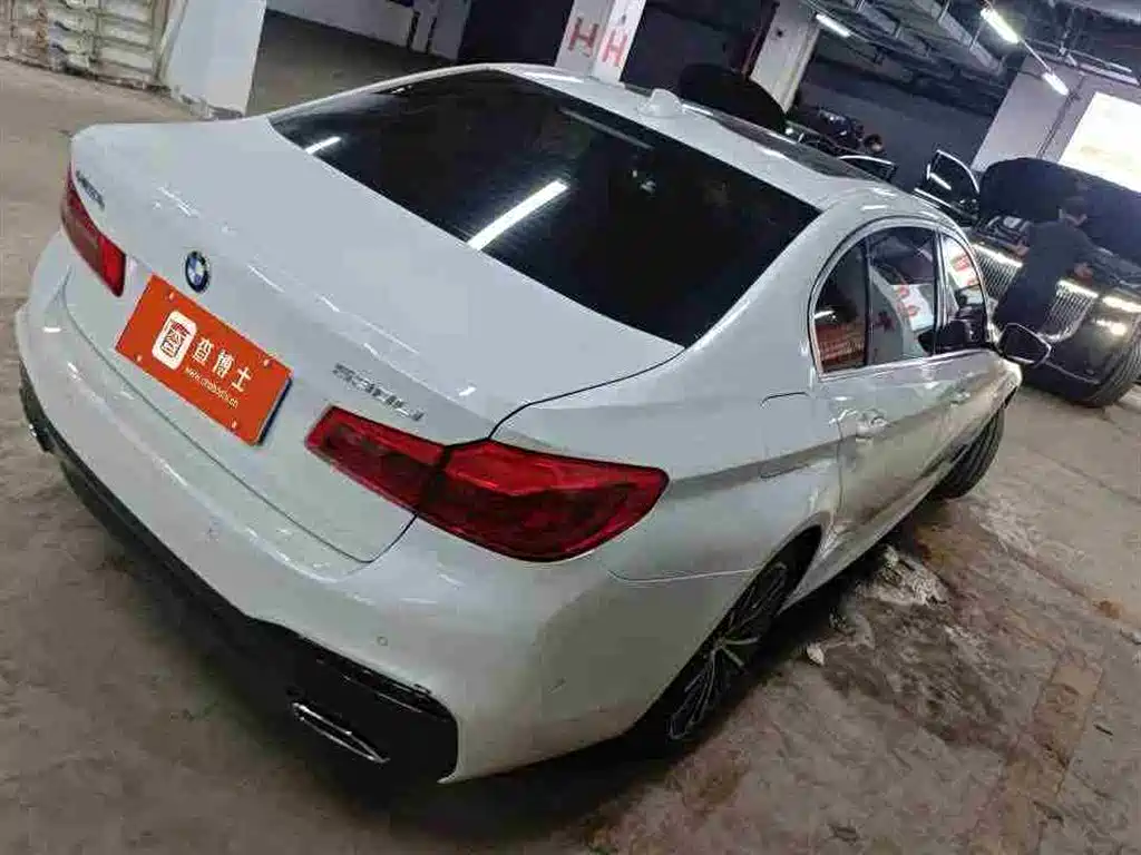 BMW 5 Series 2020 530Li Exclusive M Sport Package фото 7