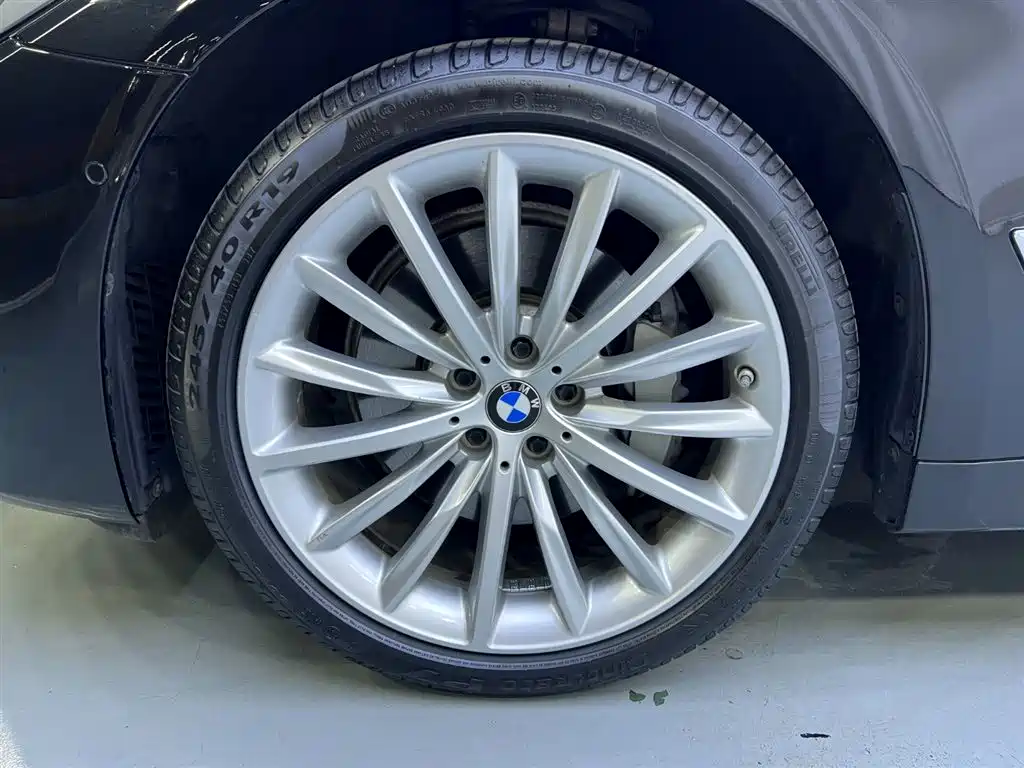 BMW 5 Series 2021 530Li Premium Luxury Package фото 24
