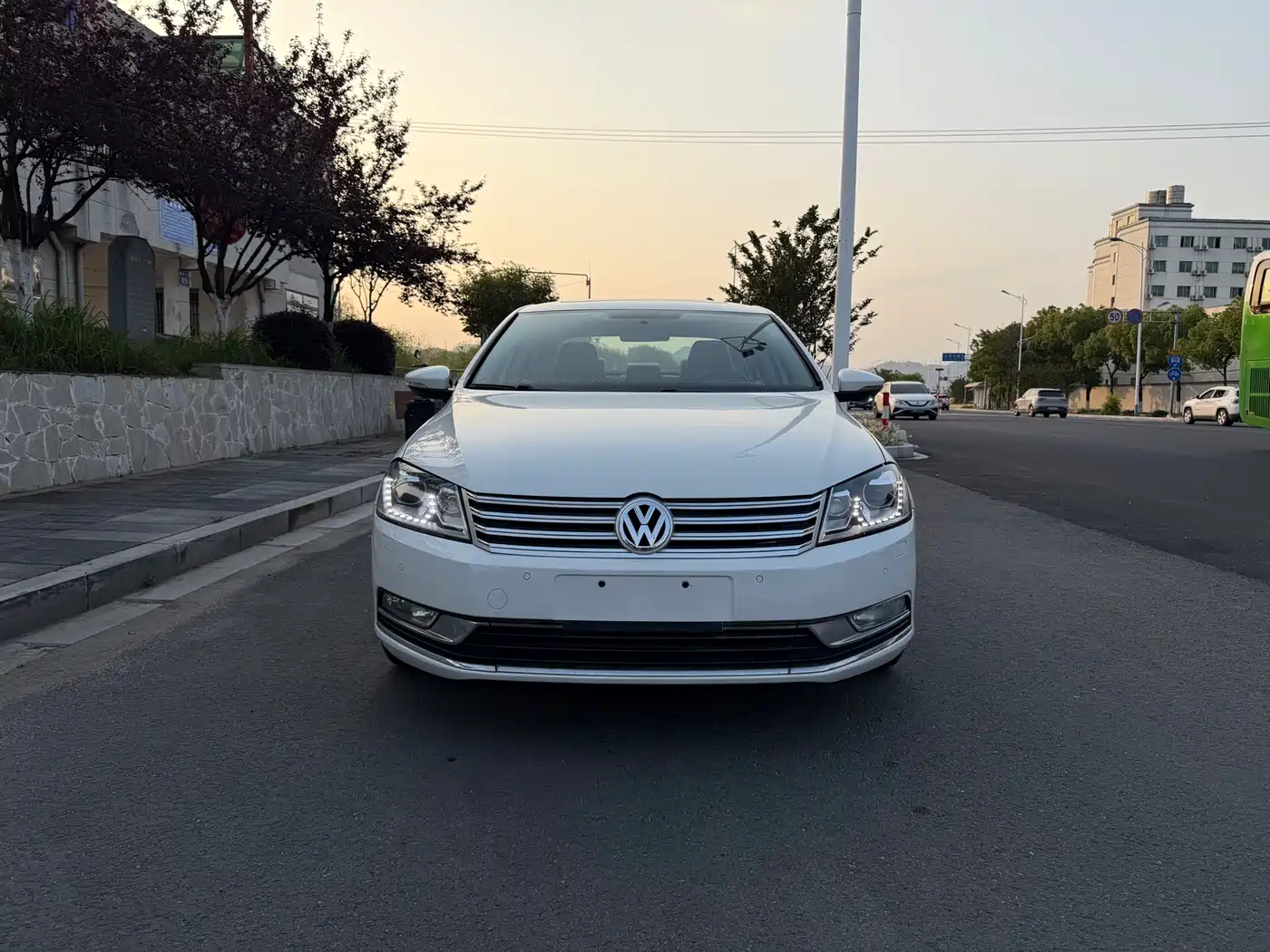 Volkswagen Magotan 2012 1.8TSI Luxury фото 2