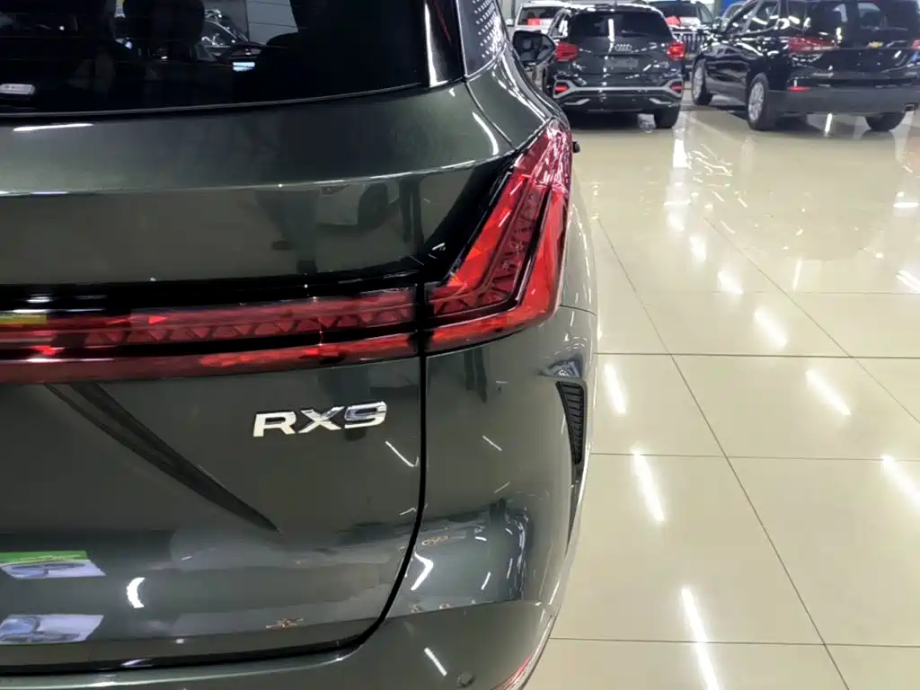 Roewe RX9 2023 2023 2.0T 4WD Premium Edition