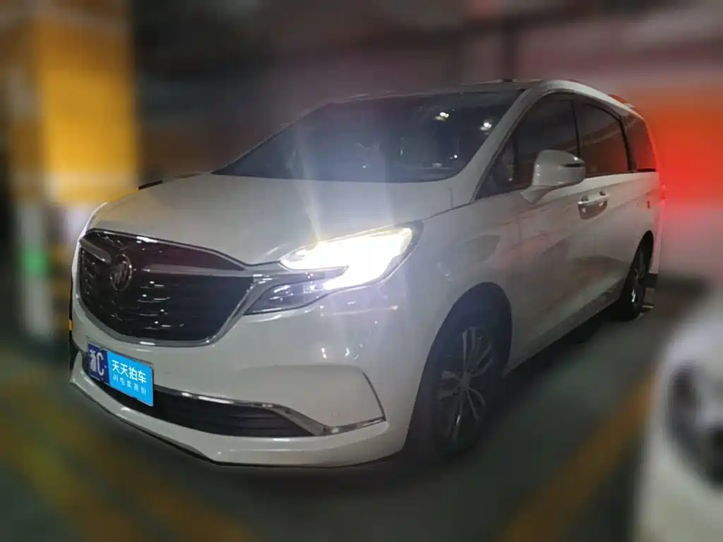 Buick GL8 2022 ES Landmark 653T Premium