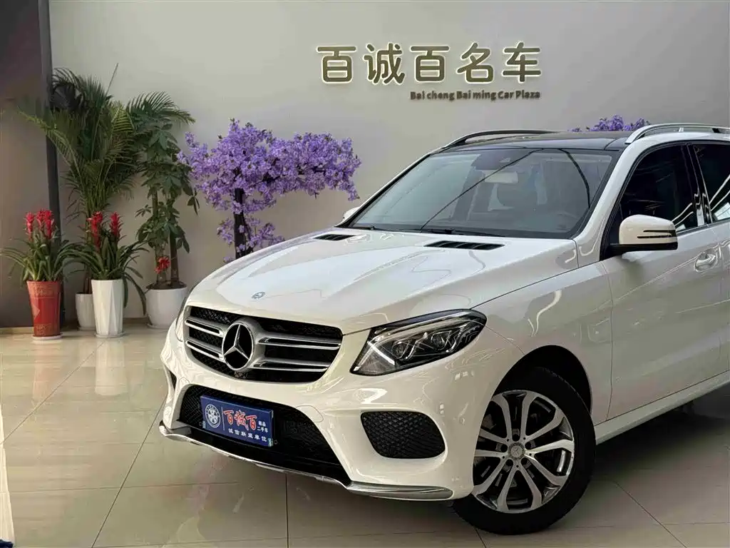 Mercedes-Benz GLE 2017 GLE 320 4MATIC Dynamic фото 3