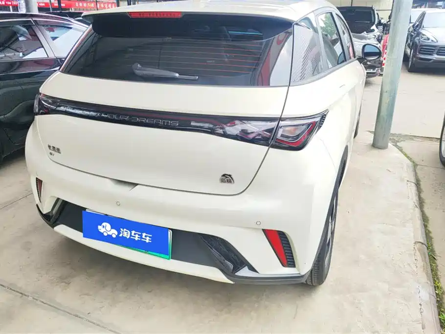 BYD Dolphin 2023 420km Fashion Edition фото 3