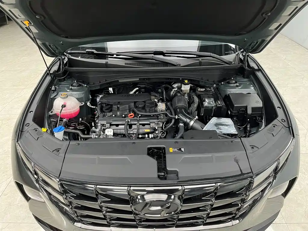 Hyundai Tucson 2023 2023 Tucson L 1.5T Automatic 2WD LUX Premium Edition