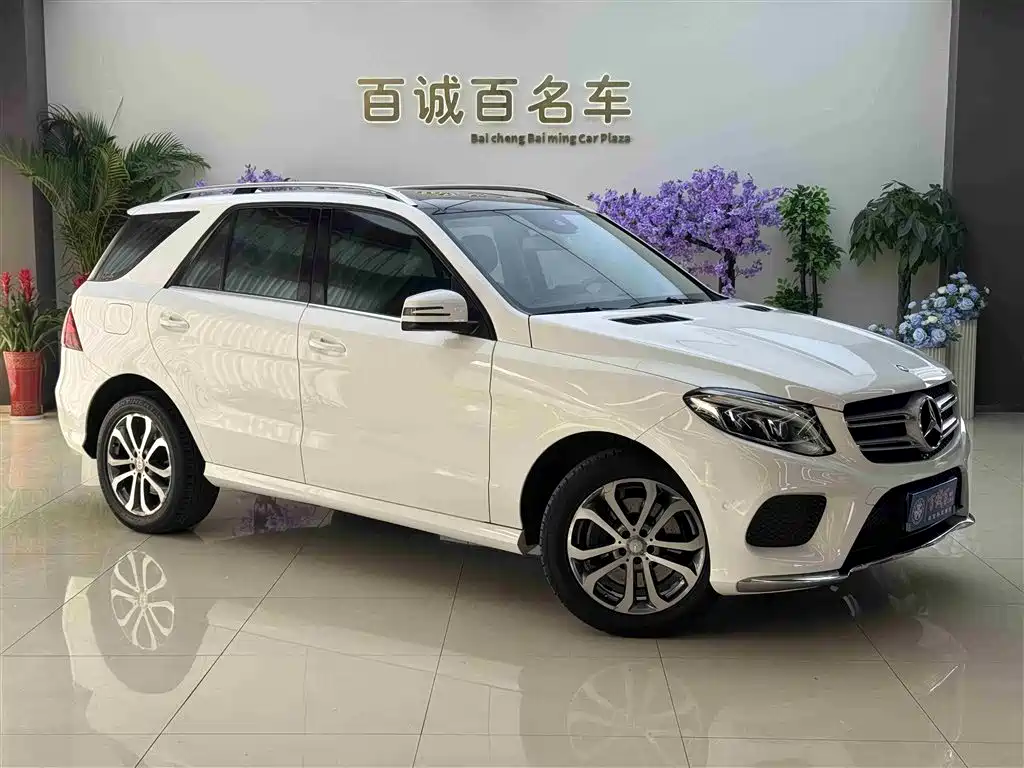Mercedes-Benz GLE 2017 GLE 320 4MATIC Dynamic фото 4