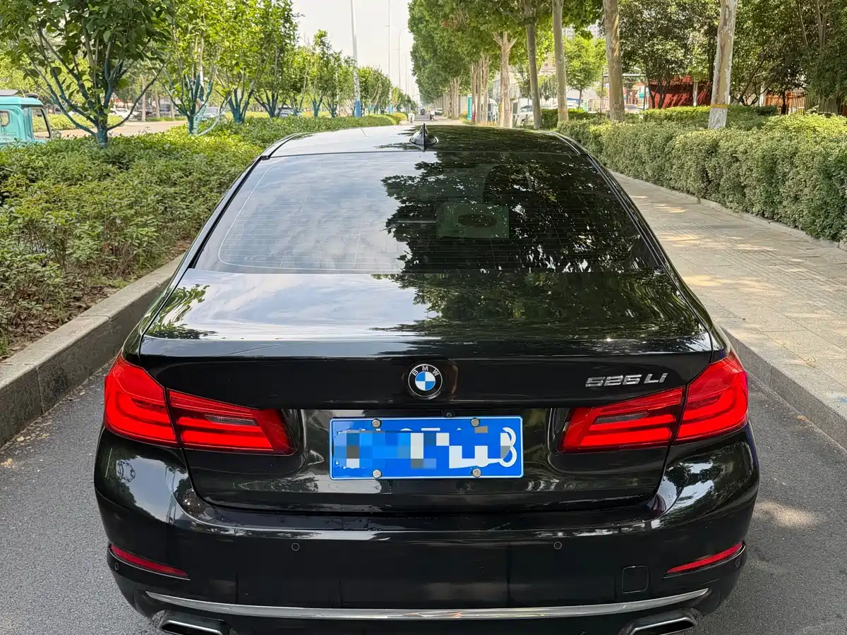 BMW 5 Series 2019 525Li Luxury Package фото 14