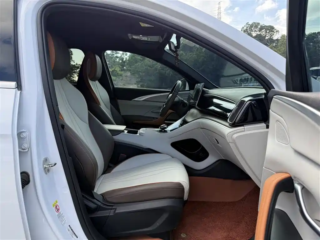 BYD Song Pro New Energy 2022 DM-i 51km Luxury фото 16