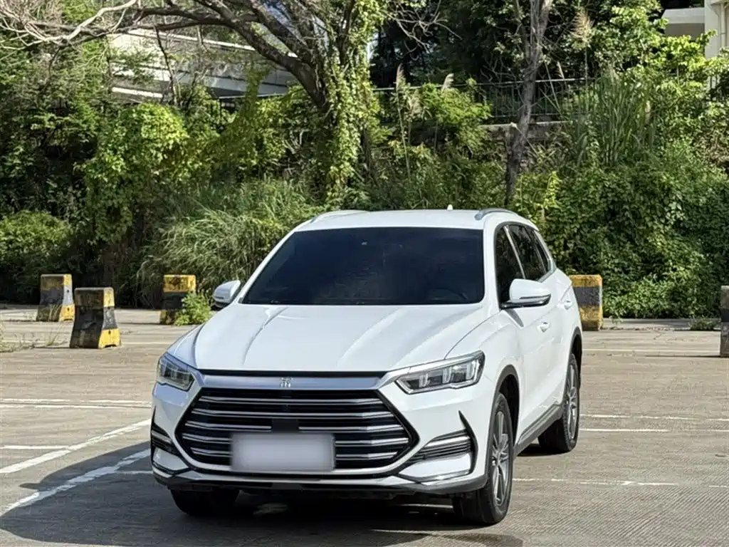 BYD Song Pro New Energy 2022 DM-i 51km Luxury фото 2