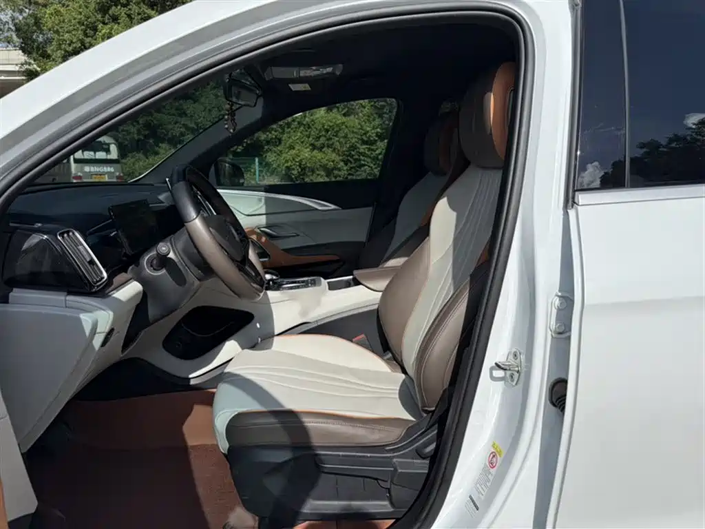 BYD Song Pro New Energy 2022 DM-i 51km Luxury фото 18