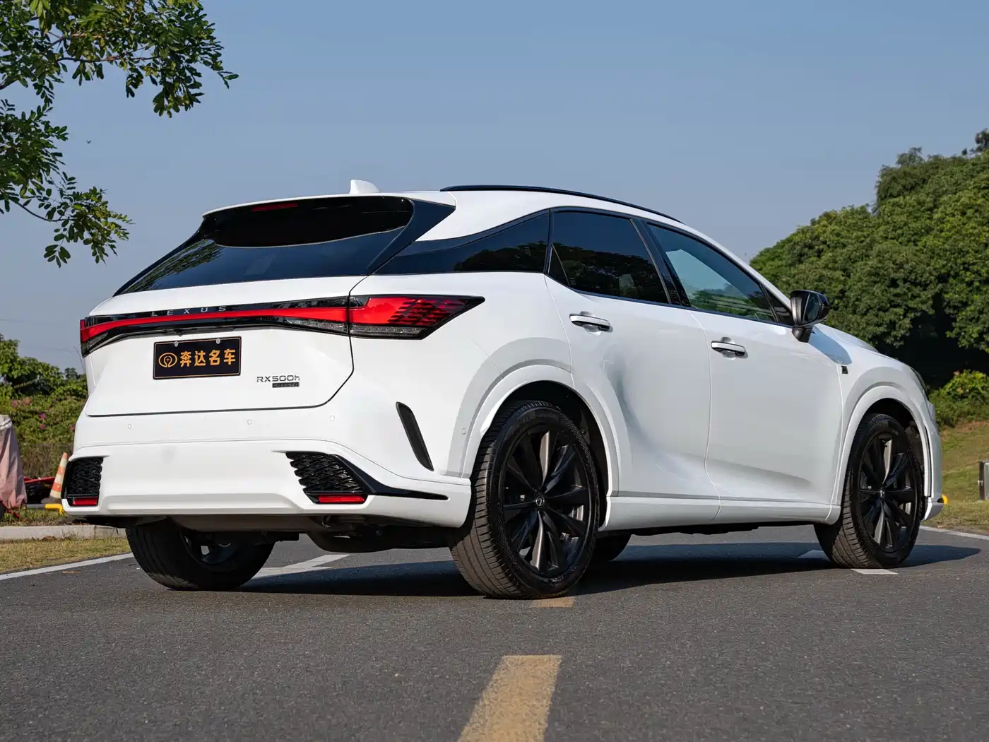 LEXUS RX