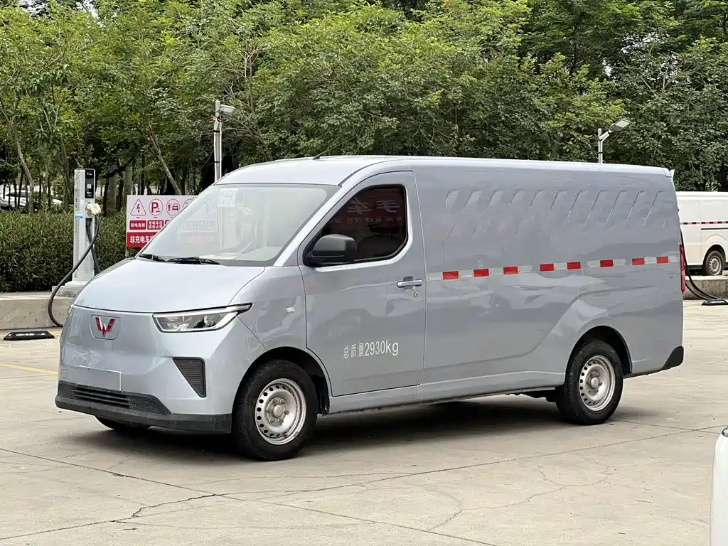 Wuling Motors Wuling Yangguang 2024 300km Comfort Enclosed Van 60kW