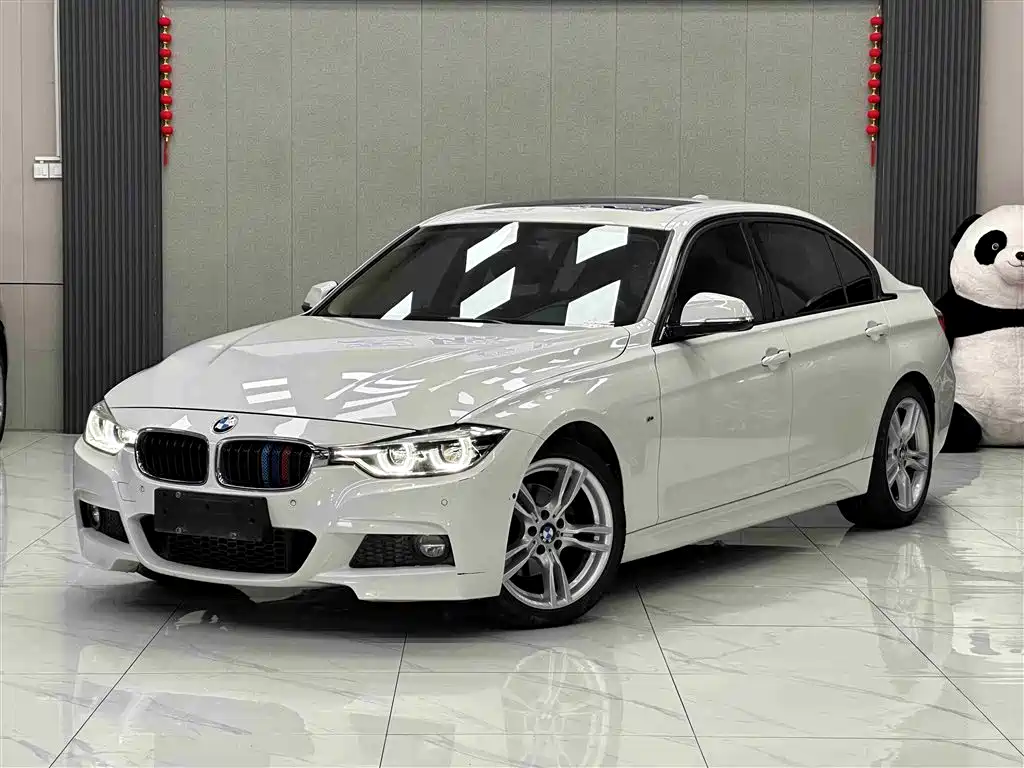 BMW 3 Series 2019 320Li M Sport Package