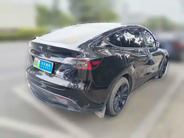 Tesla Model Y 2022 Rear-Wheel Drive Version — фото 5