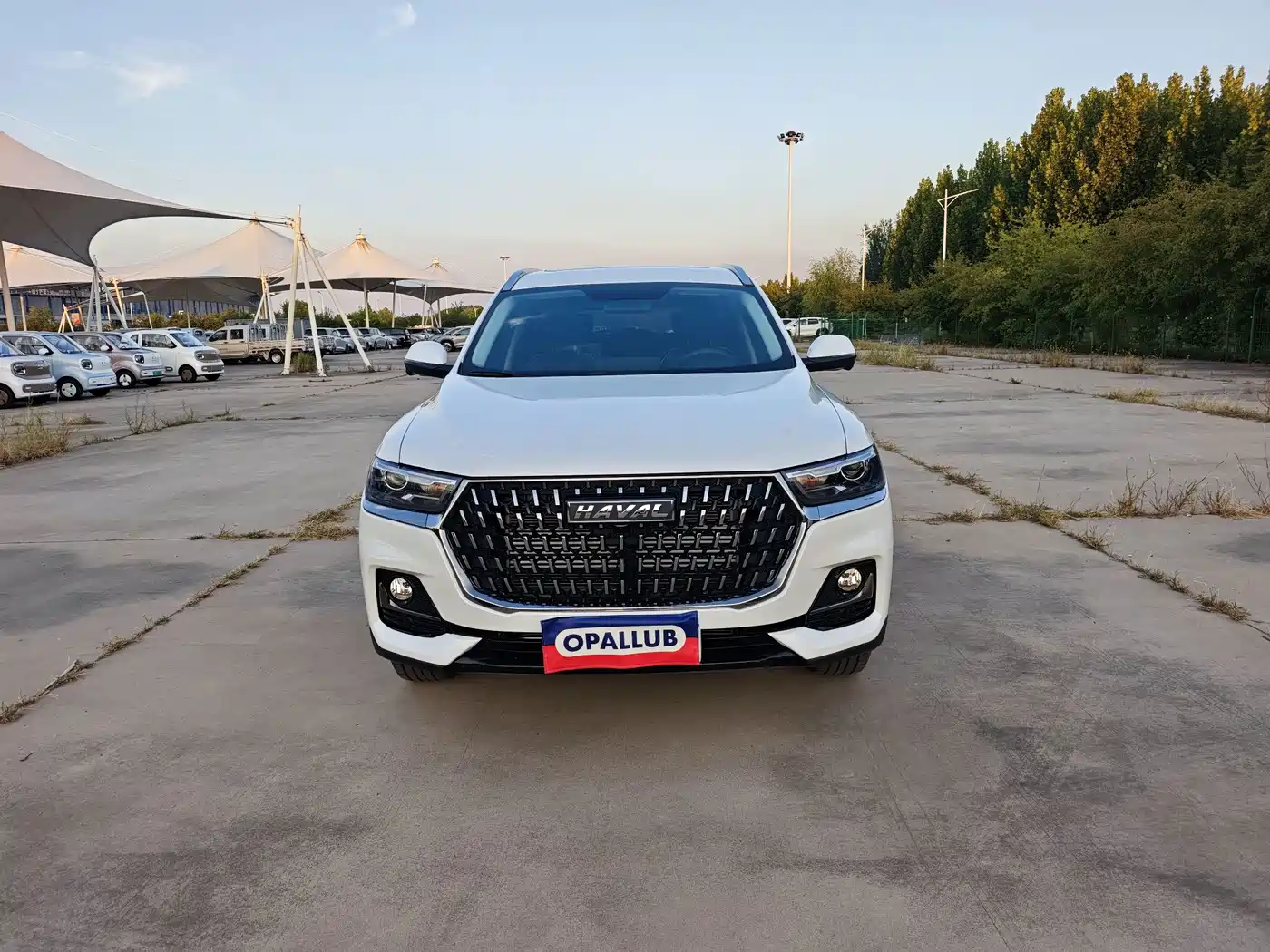 Haval H6 2024 2023 National Trend Edition 1.5T Automatic Urban