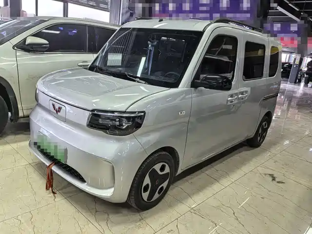 WULING WULING ZHIGUANG NEW ENERGY