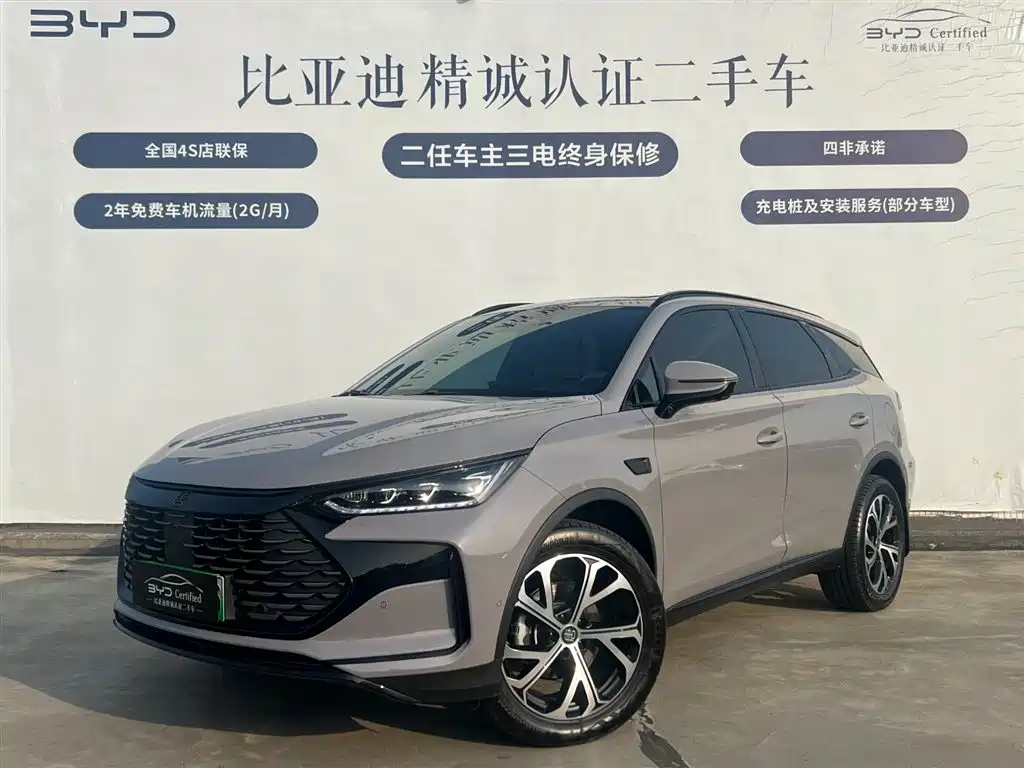 BYD Tang New Energy 2025 Smart Driving Edition DM-i 115KM Premium