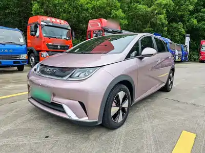BYD Dolphin