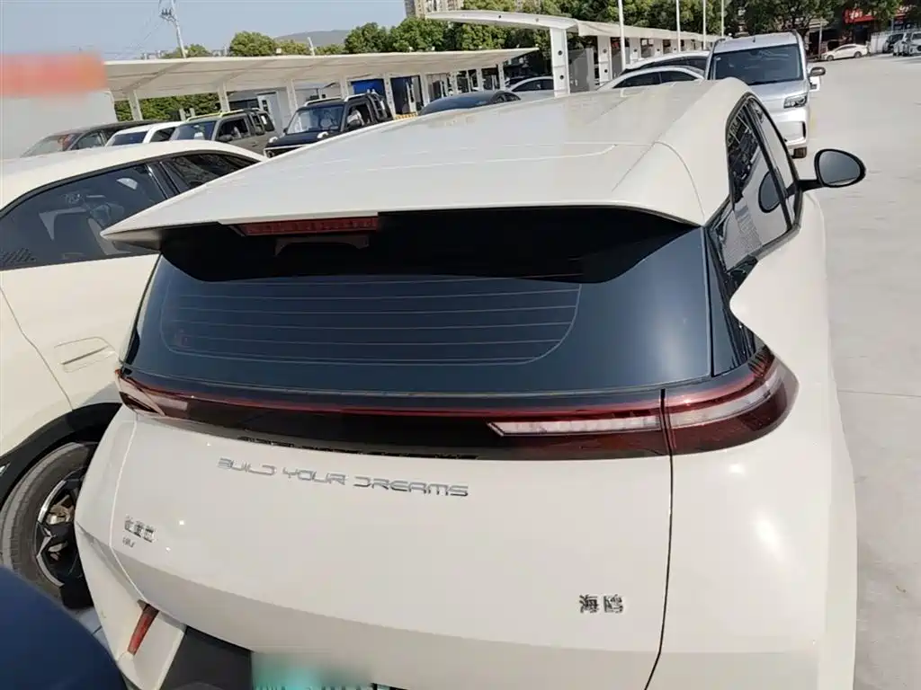 BYD Seagull 2024 Glory Edition 305km Vitality Edition фото 6