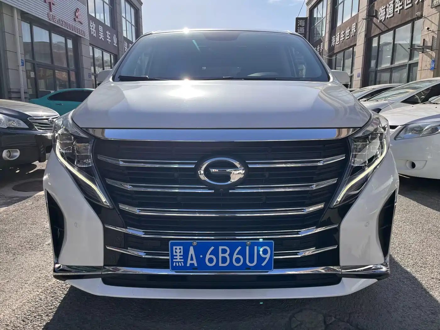 GAC Trumpchi Trumpchi M8 2021 Leading Show Series 390T Ultimate Edition фото 2