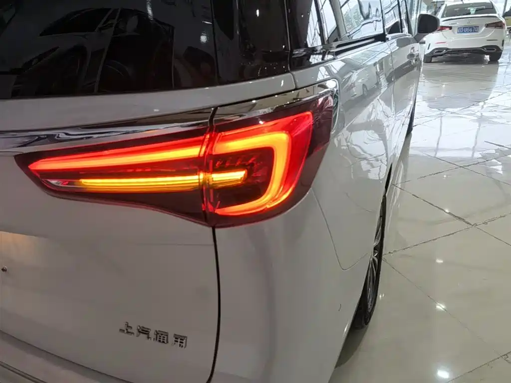 Buick GL8 2023 ES Landmaster Exclusive фото 24