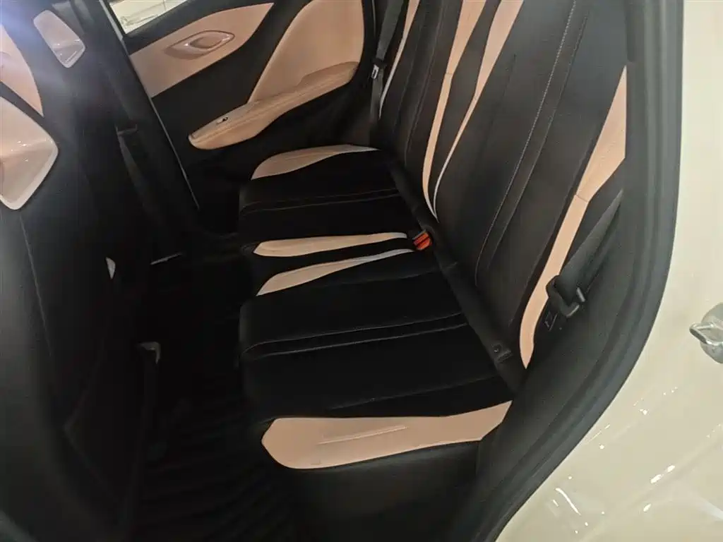 BYD Seagull 2025 Smart Drive Edition 305km Vitality Version фото 17