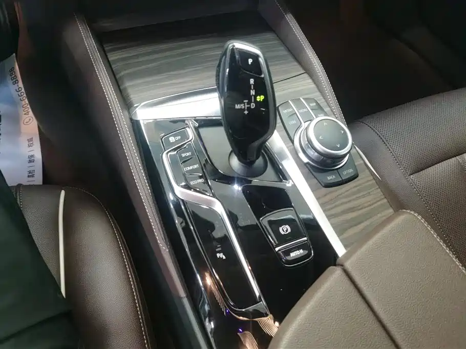 BMW 5 Series 2022 530Li xDrive Luxury Package фото 16