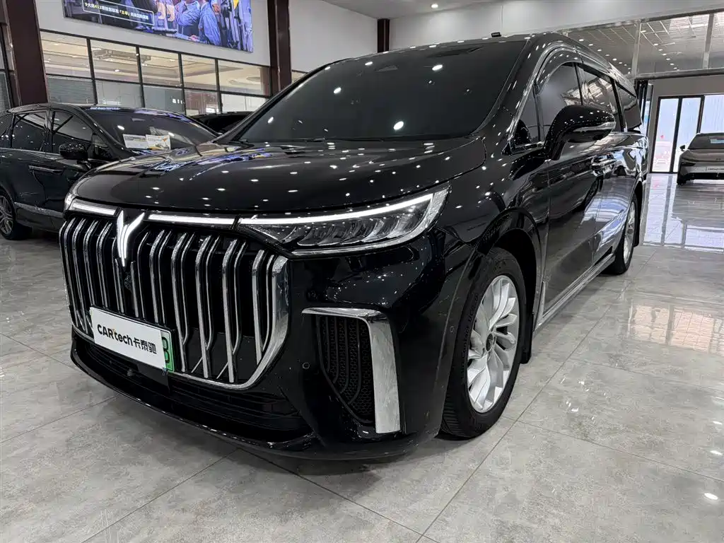 Voyah Auto Voyah Dreamer 2024 PHEV Extended Range Premium Edition фото 2
