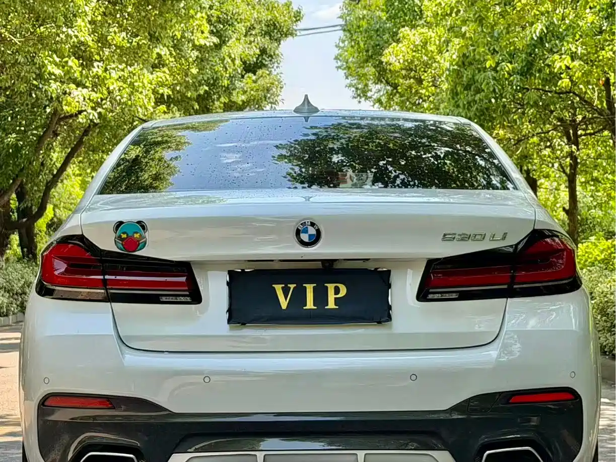 BMW 5 Series 2021 530Li Leading M Sport Package фото 10