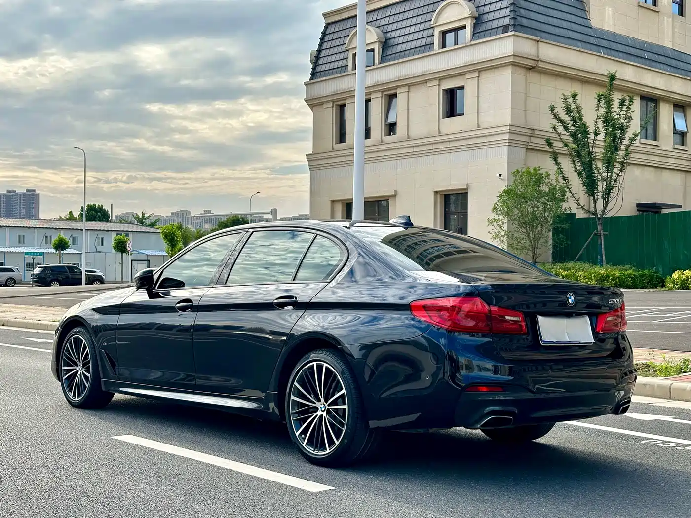 BMW 5 Series 2019 530Li Premium M Sport Package фото 9