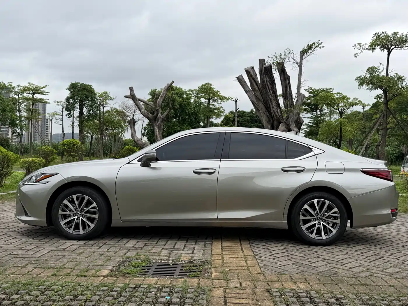 Lexus ES 2022 200 Excellence Edition фото 17