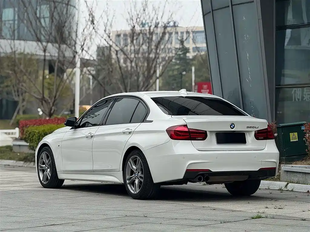 BMW 3 Series 2019 320Li M Sport Black Night Edition фото 6