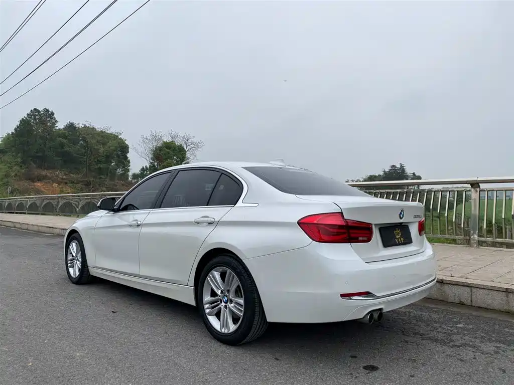 BMW 3 Series 2017 320Li Fashion фото 3