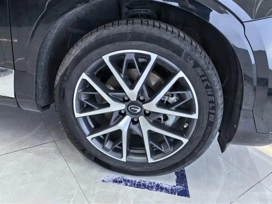 GAC Trumpchi Trumpchi GS8 2022 Hybrid Series 2.0TM 4WD Premium Edition (7-Seater) фото 6