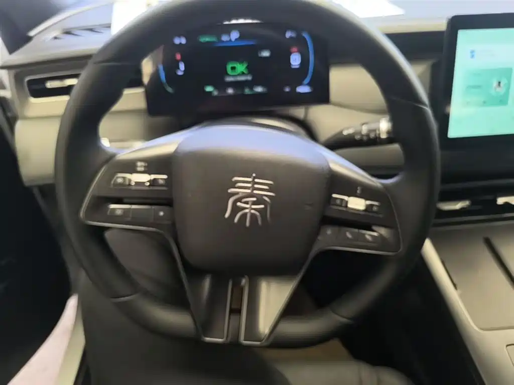 BYD Qin PLUS 2025 DM-i Smart Drive 55KM Leader фото 11