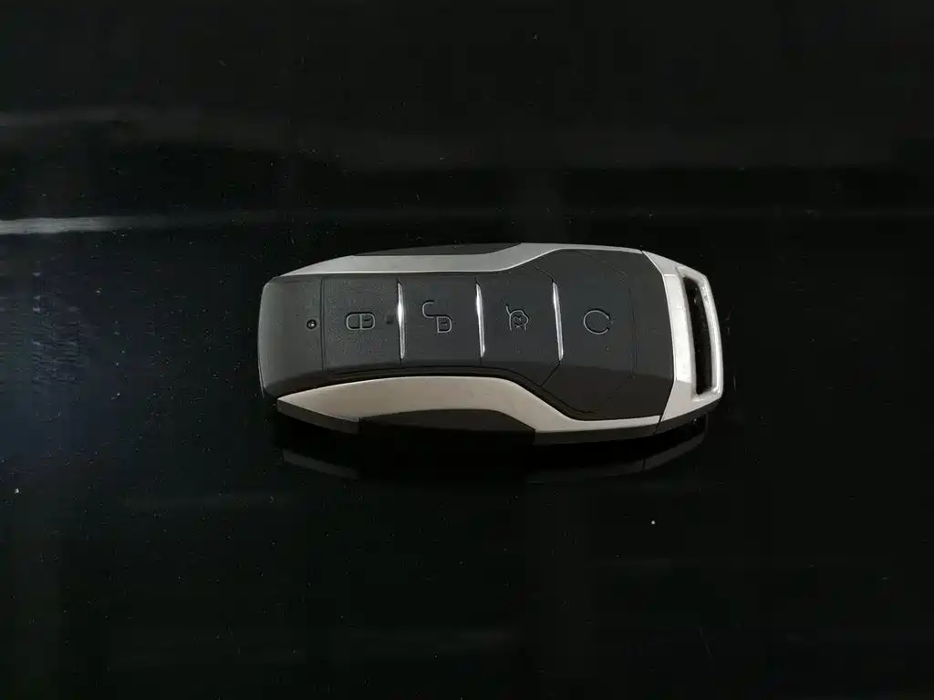 BYD Song PLUS PHEV 2021 DM-i 110KM Flagship PLUS фото 19