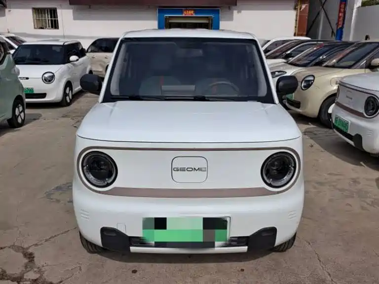 Geely Galaxy Panda 2023 Panda Mini 200km Endurance Bear фото 2