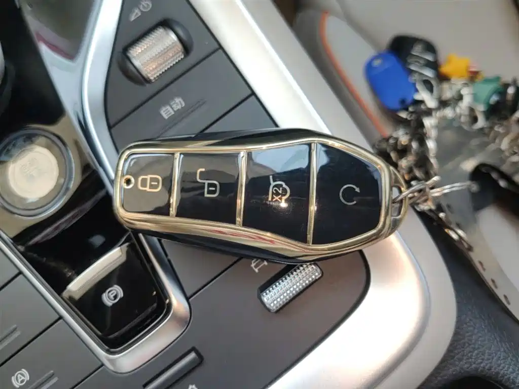 BYD Song Pro New Energy 2024 Glory Edition DM-i 71KM Pilot фото 9