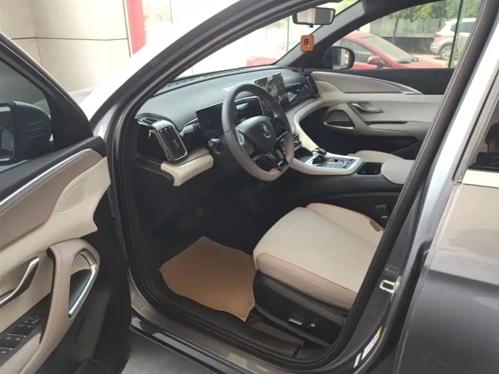 BYD Song Pro New Energy 2024 Glory Edition DM-i 71KM Pilot фото 16