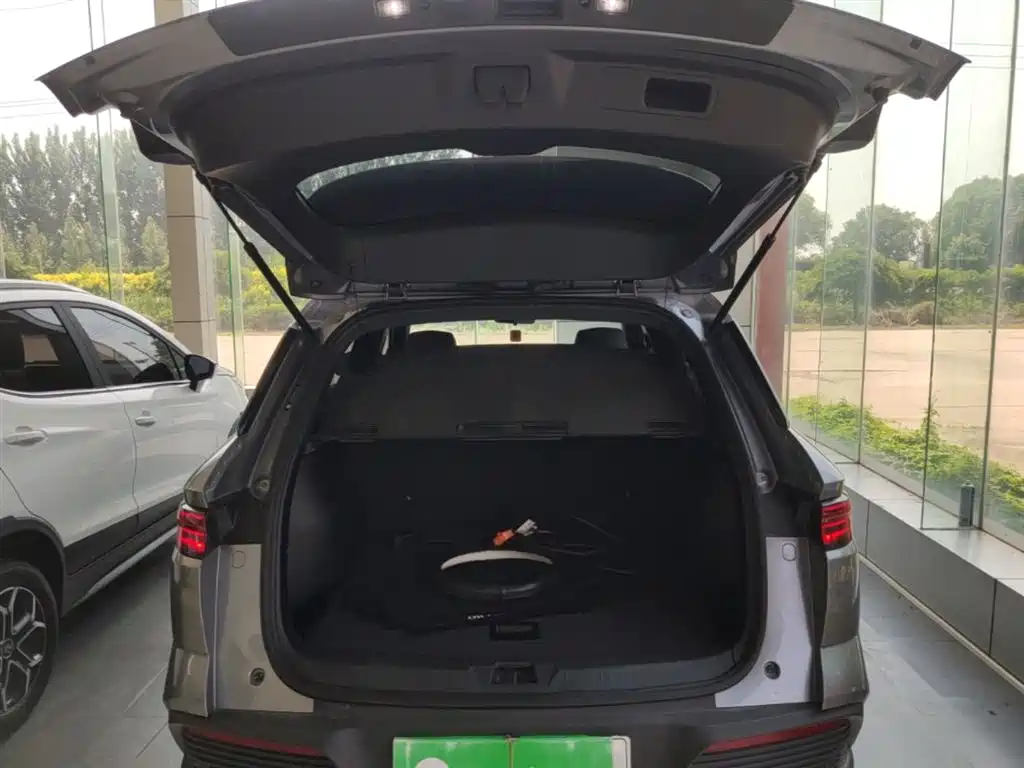 BYD Song Pro New Energy 2024 Glory Edition DM-i 71KM Pilot фото 19